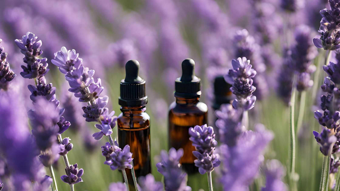 lavender essential oil benefits