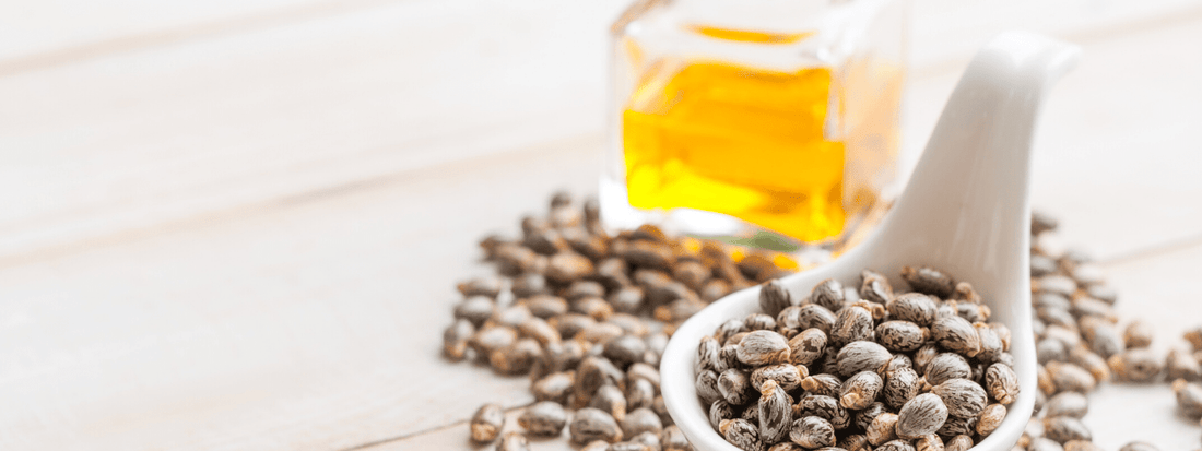 Why You Should Use Castor Oil Daily? - Aroma Farmacy