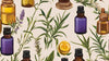 Uncovering the 4 Best Essential Oils for Acne, Backed by Studies